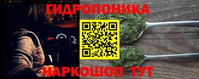 бошки Можга