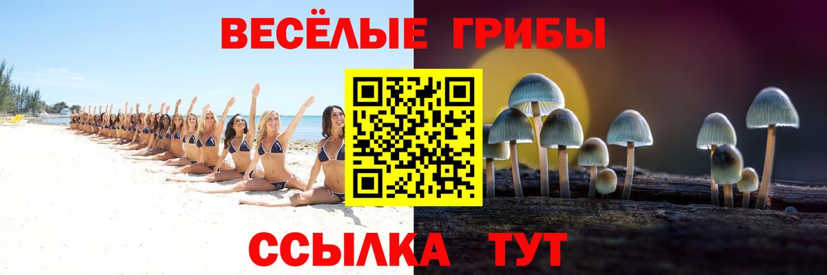 Галлюциногенные грибы мухоморы Белово